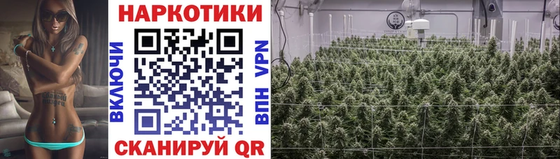 Наркошоп купить ГАШ  Кокаин  Меф  Alpha-PVP  Конопля  Новая Ладога