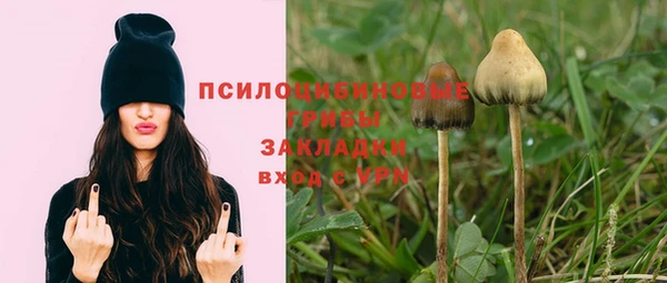 мескалин Кукмор