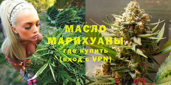 молекула духа Ладушкин