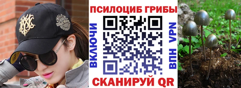 Галлюциногенные грибы прущие грибы Новая Ладога